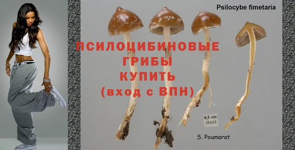 мяу мяу мука Абинск