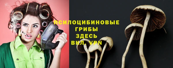 дживик Абаза