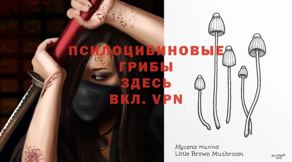 амф Абдулино