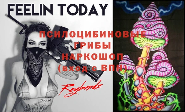 дживик Абаза