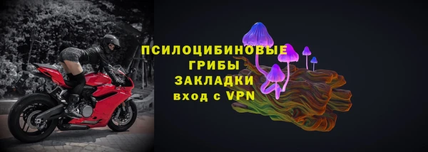 дживик Абаза