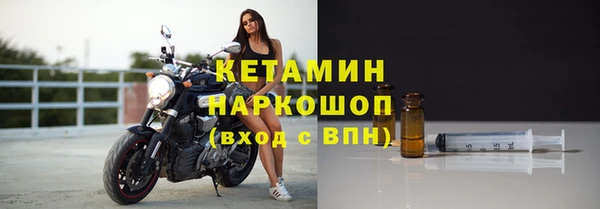 шишки Семилуки