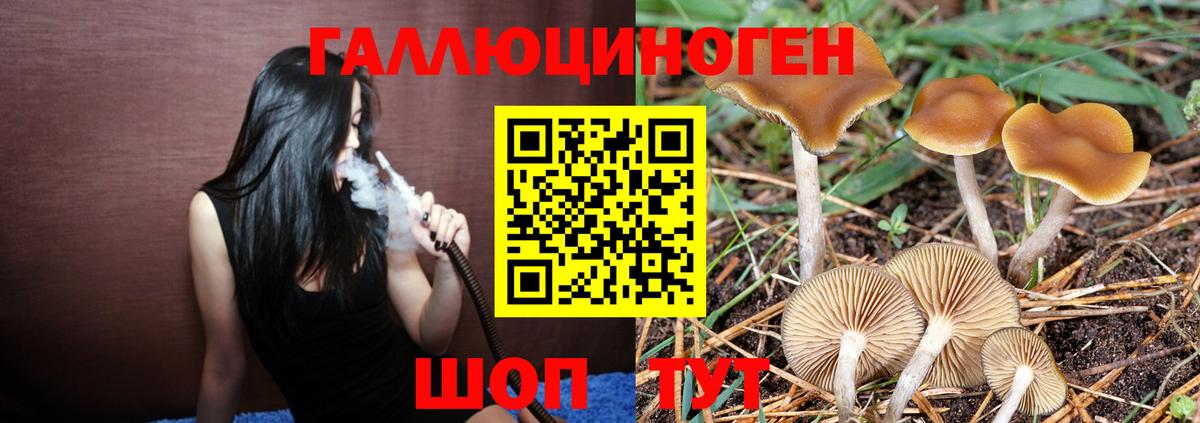Псилоцибиновые грибы мицелий  где купить наркотик  Вход с VPN  Зеленодольск  Галлюциногенные грибы Psilocybe 
